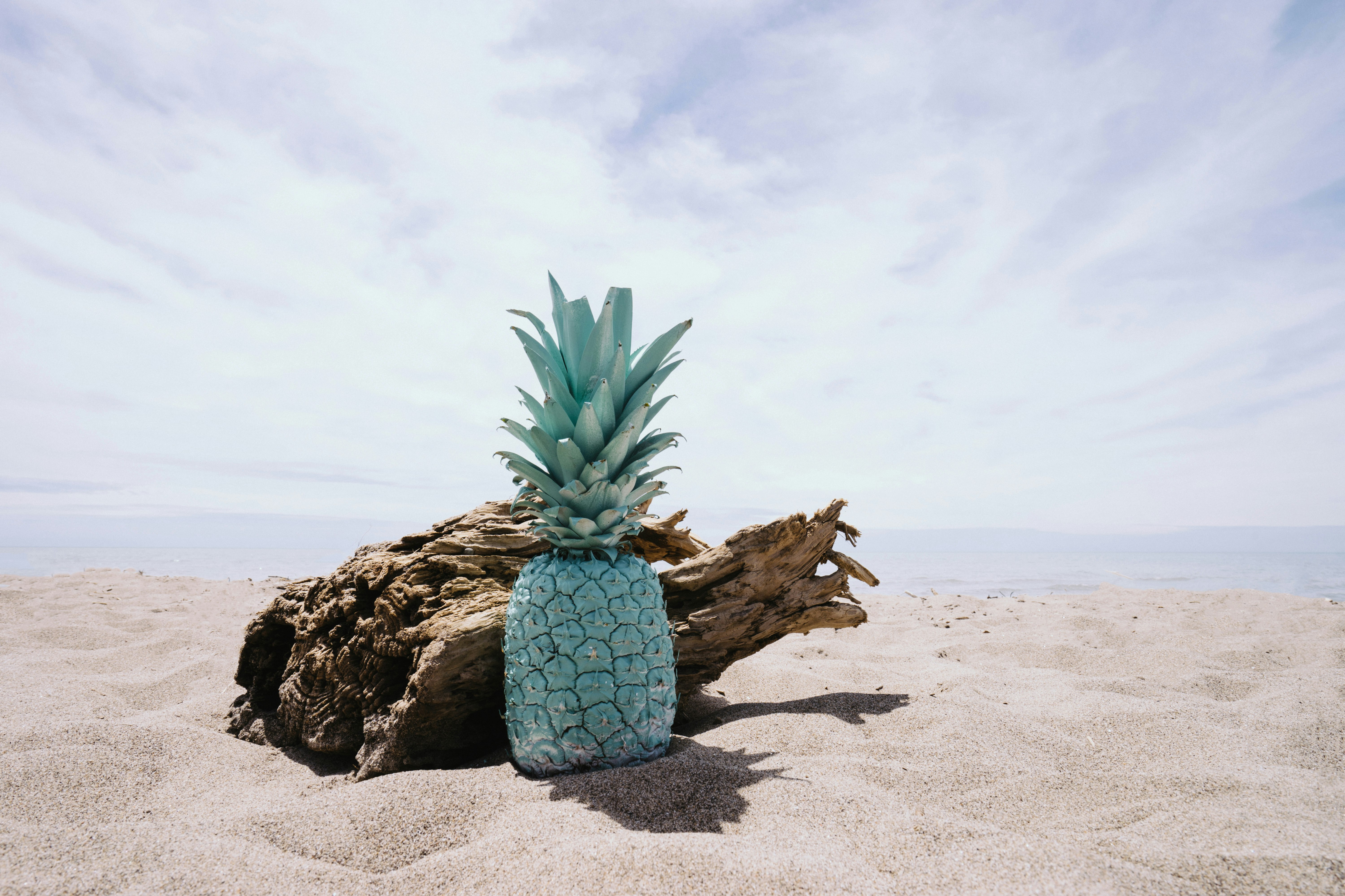 pineapple on sand